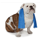 Toalla Mascotas Super Absorbente Secado Rápido Perro Gato 3