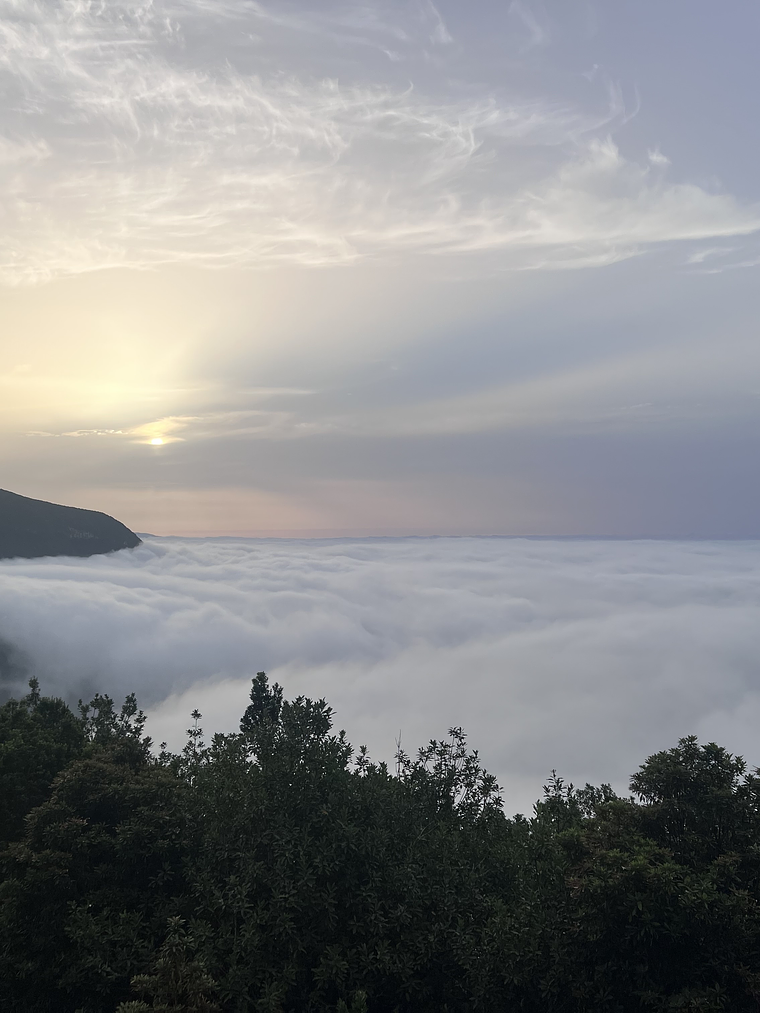 Madeira Full Day 4x4 Jeep Tour 1