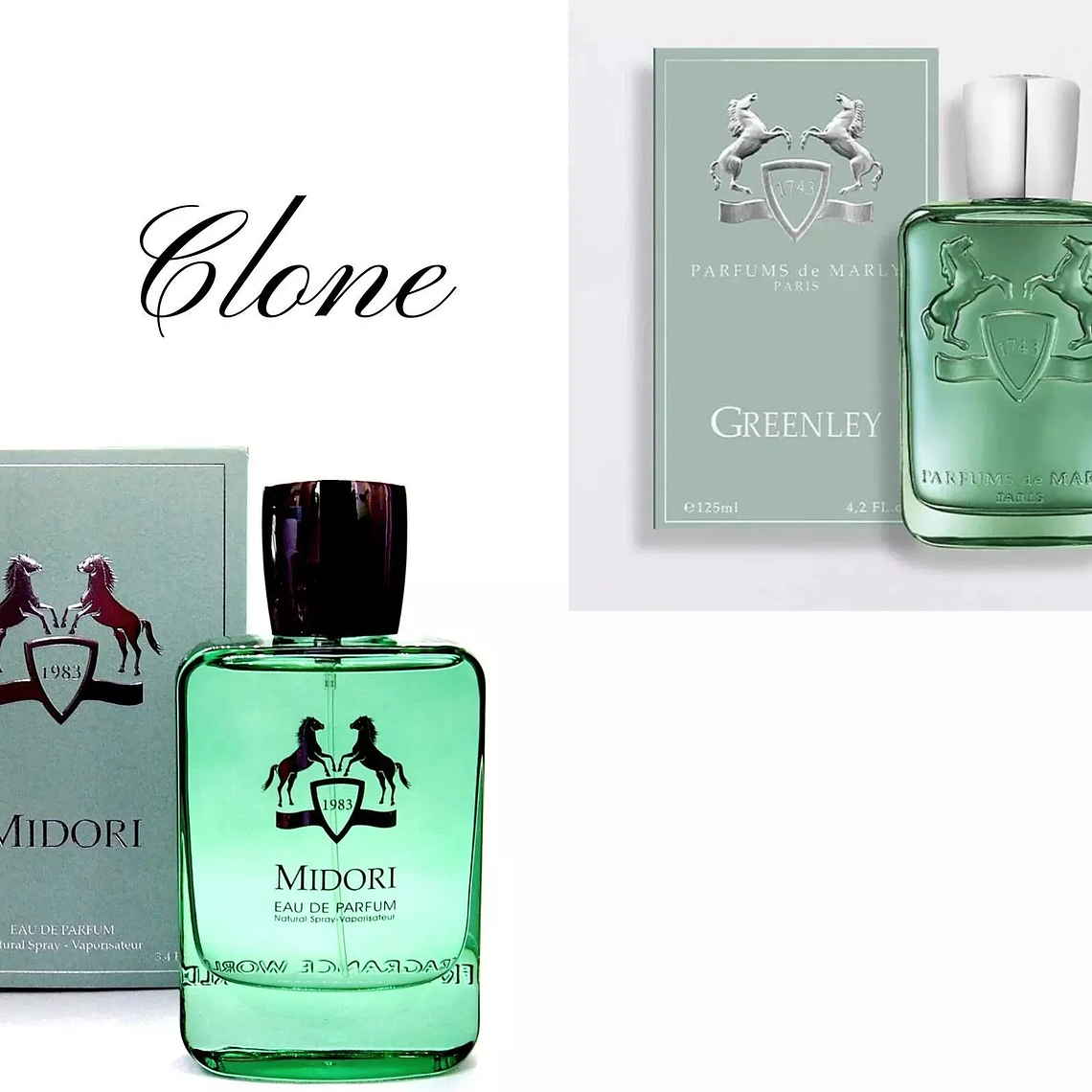 FRAGRANCE WORLD MIDORI EDP 100 ML  2