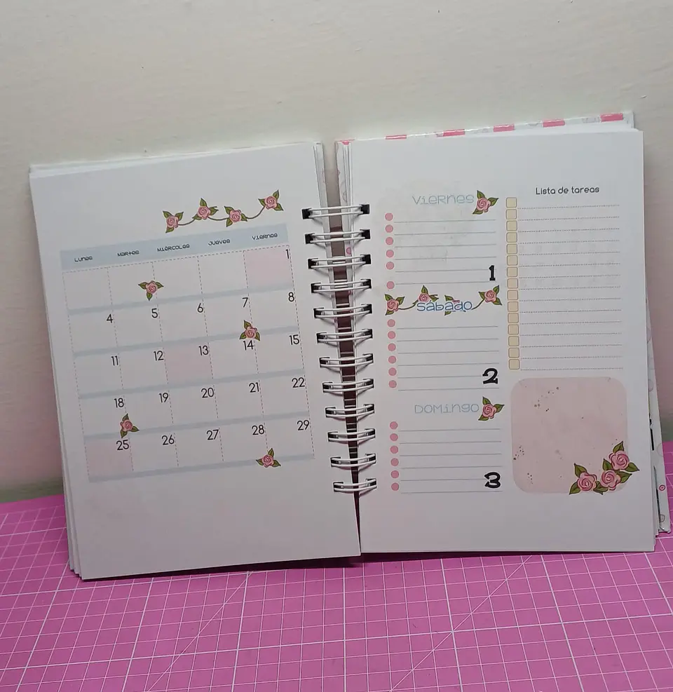 Candy Candy Agenda tamaño a5 2025 110 hojas 3