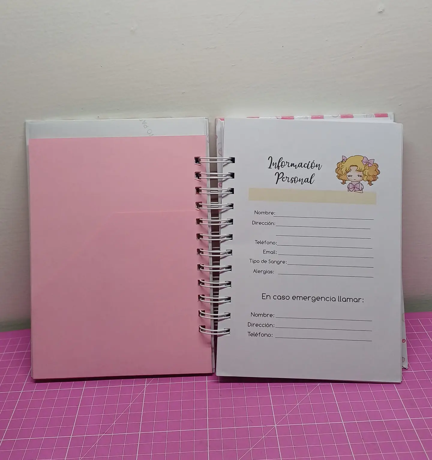 Candy Candy Agenda tamaño a5 2025 110 hojas 7