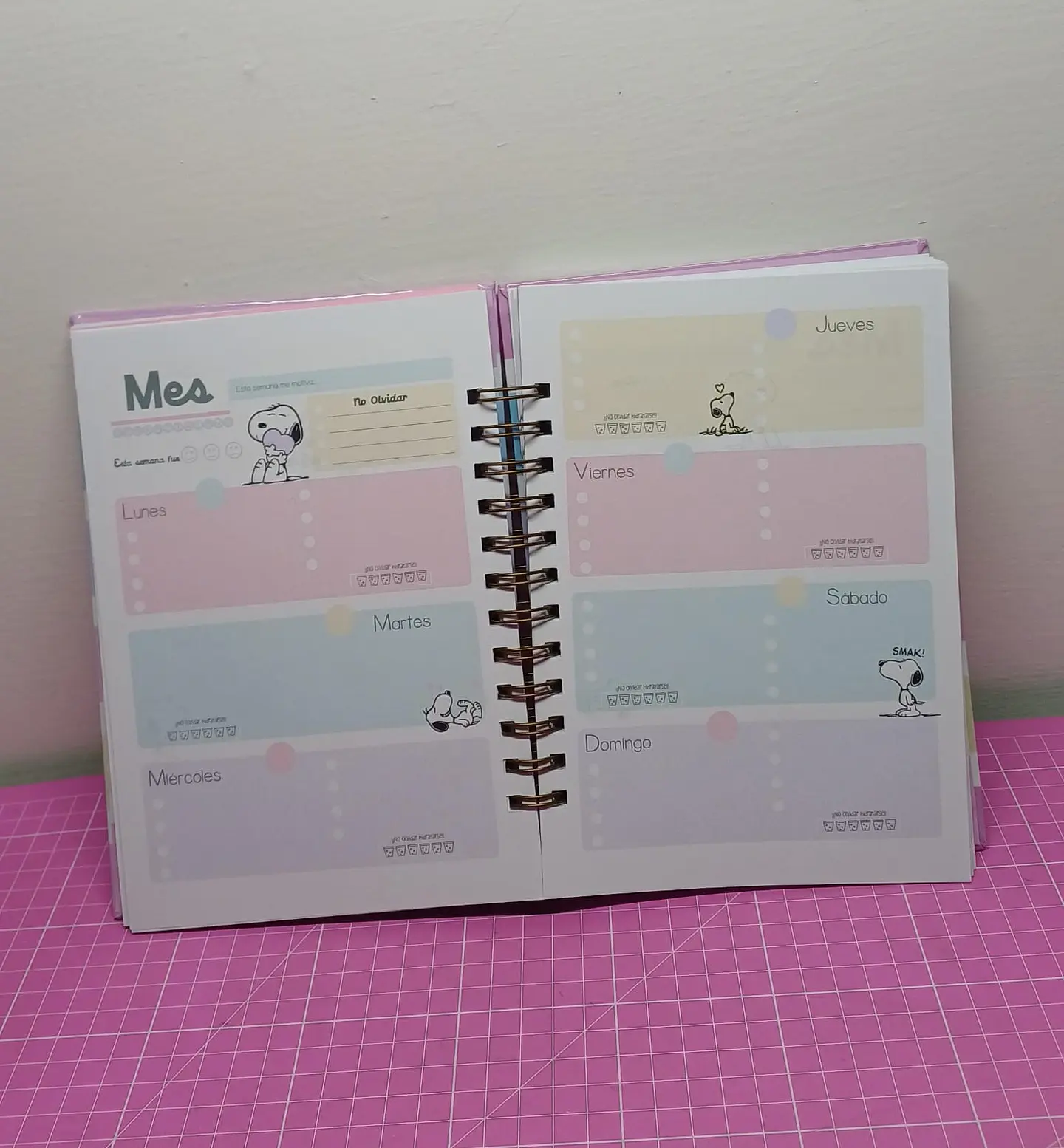 Snoopy Planner rosa a5 110 hojas 5
