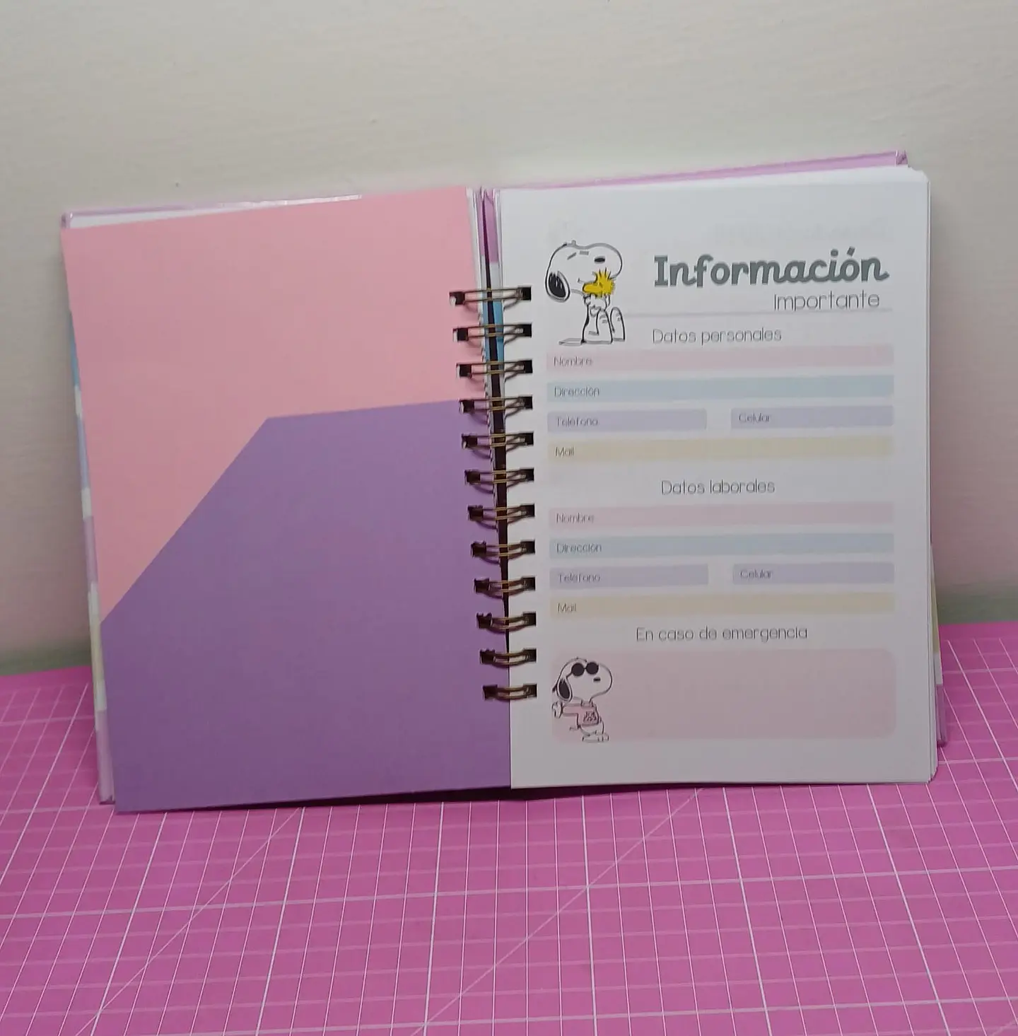 Snoopy Planner rosa a5 110 hojas 7