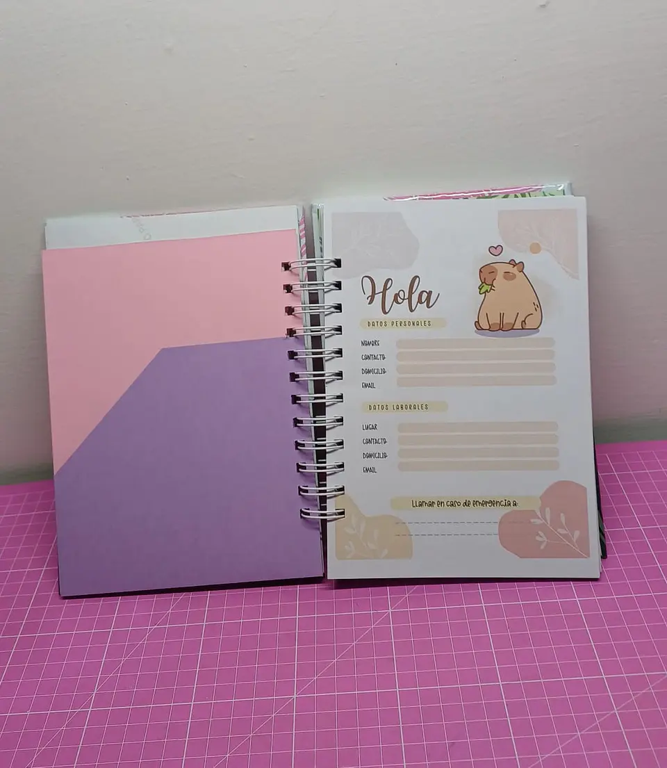 Capybara Rosa Agenda sin fecha tamaño a5 110 hojas 7