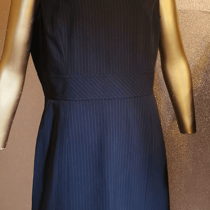 Vestido Tubo Pinstripes TAHARI ASL (L) 1