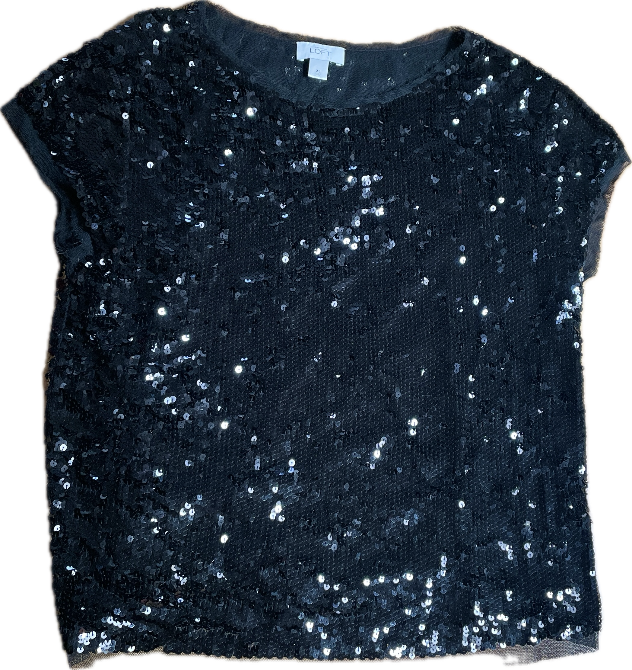Polera Lentejuelas Malla Boxee LOFT BY ANN TAYLOR (XL) 2