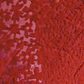 Top Rojo de Encaje con Lazo Frontal WILD FABLE (XL-XXL) NUEVO CON ETIQUETAS - Miniatura 3