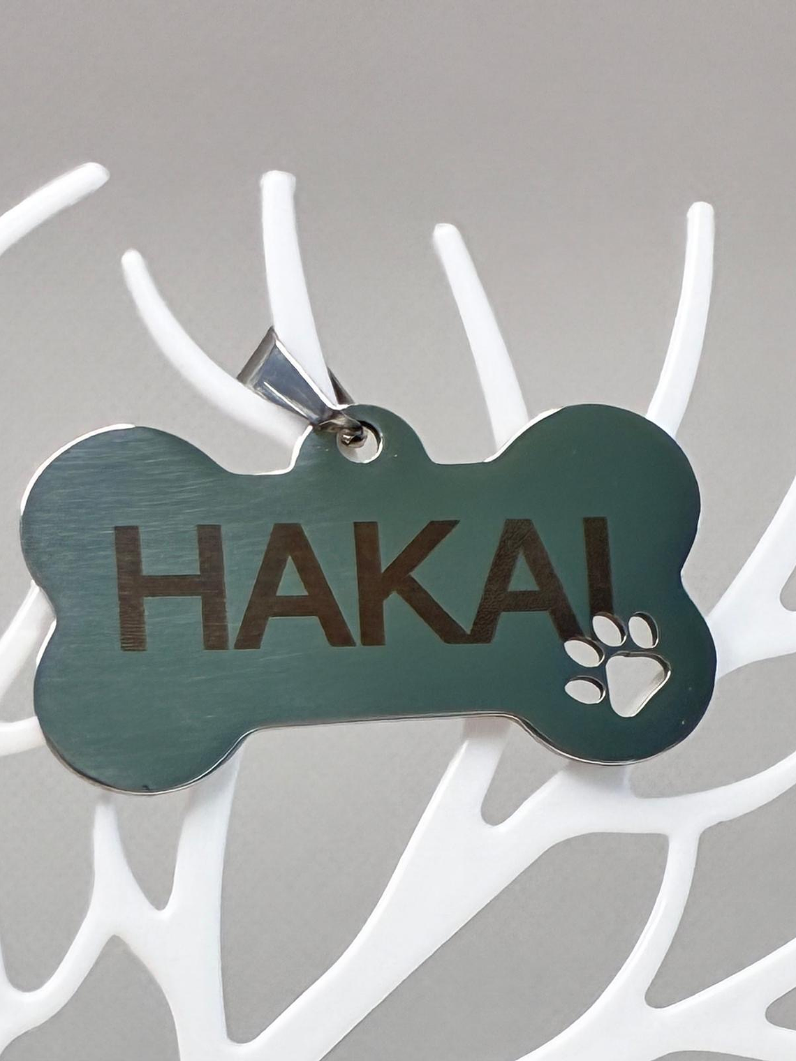 Patudo Seguro - Chapa Simples 1