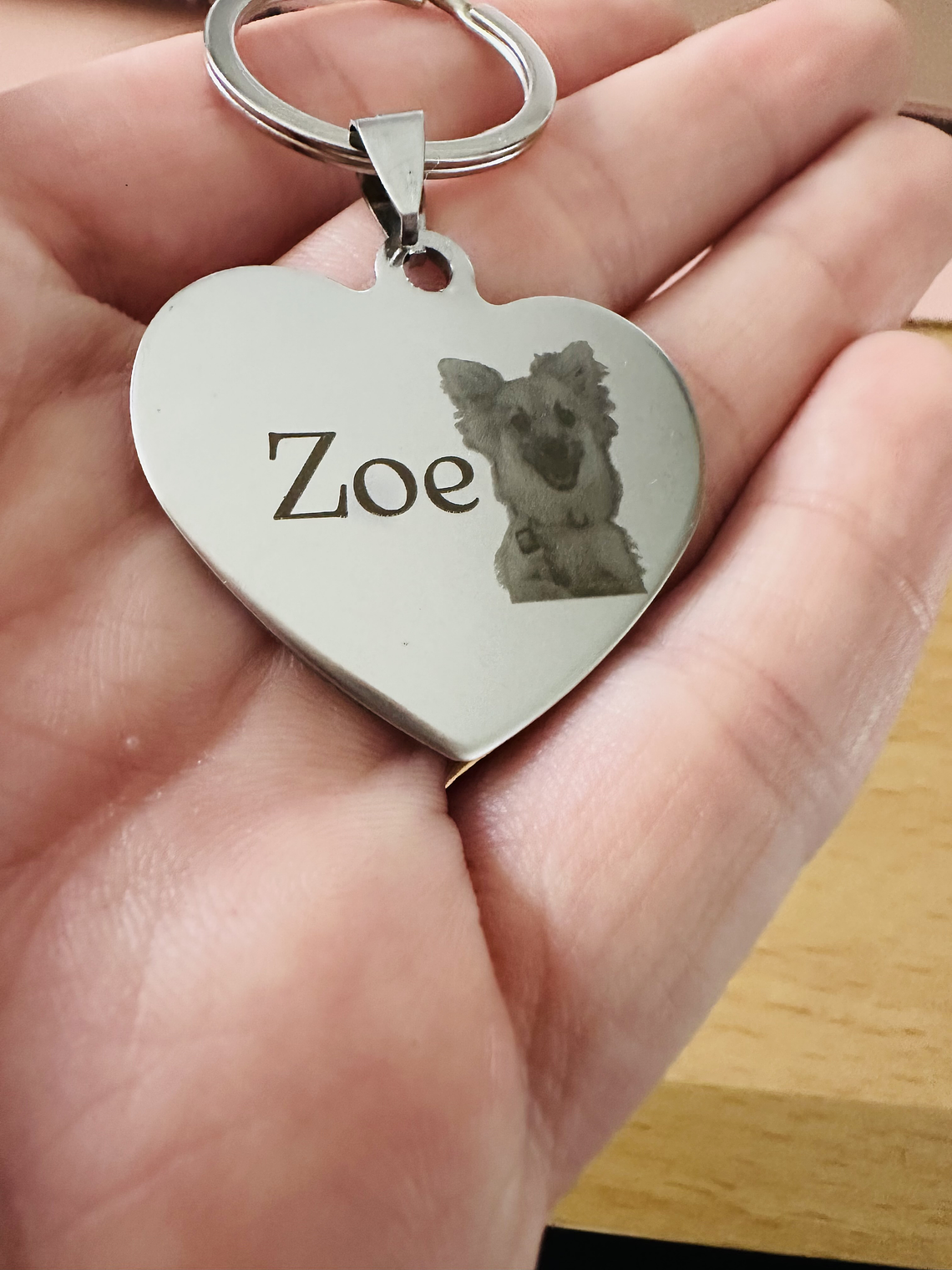 Patudo Seguro - Chapa Simples 4