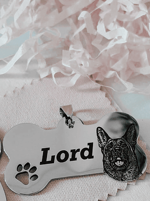 Amor Animal Premium - Foto a Lapis