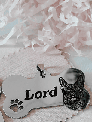 Amor Animal Premium - Foto a Lapis