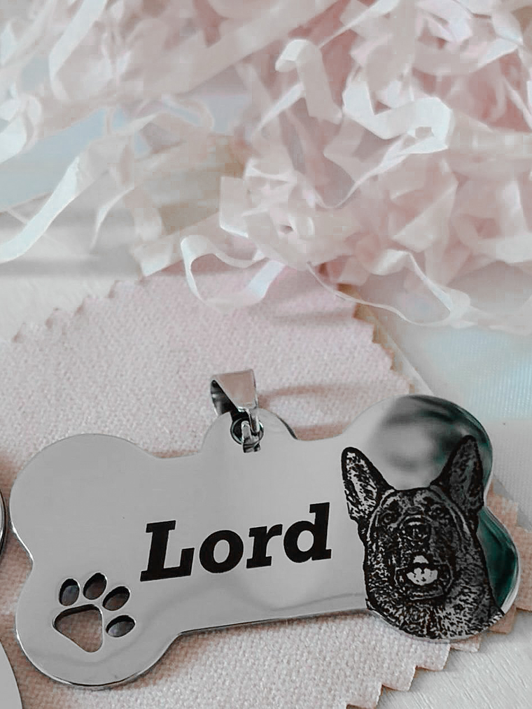 Amor Animal Premium - Foto a Lapis 2