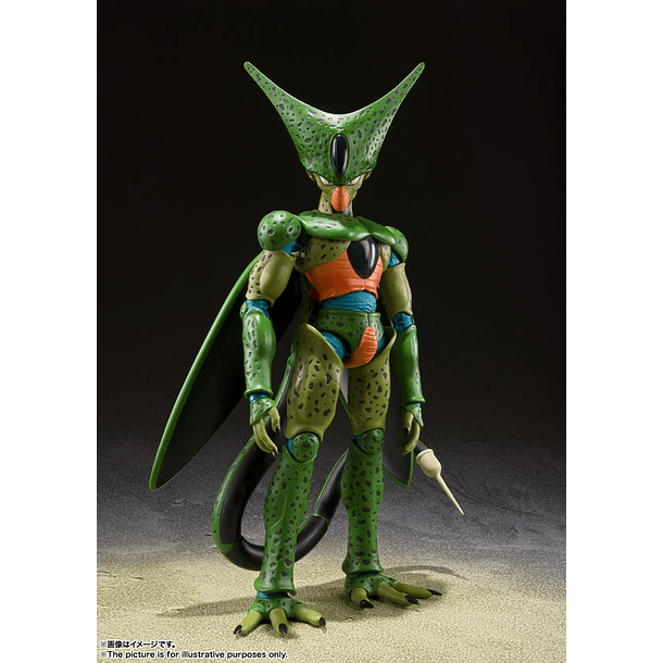 Cell Primera Forma (First Form) Dragon Ball