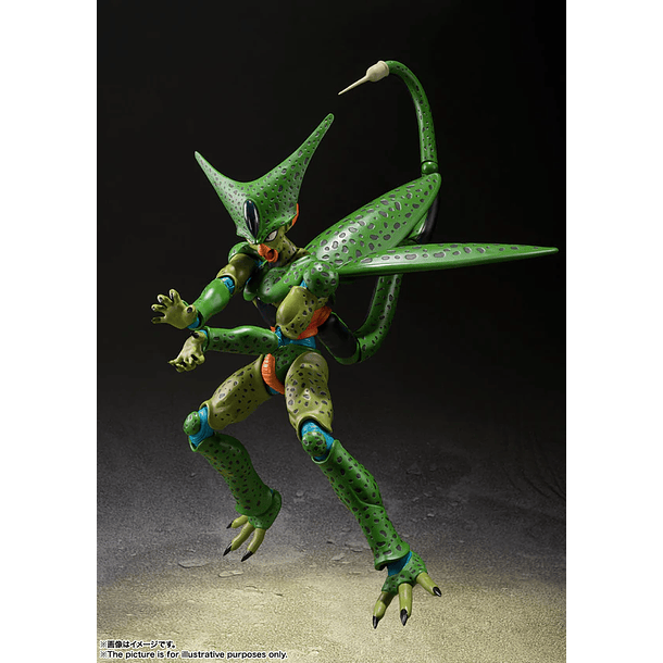 Cell Primera Forma (First Form) Reissue Dragon Ball