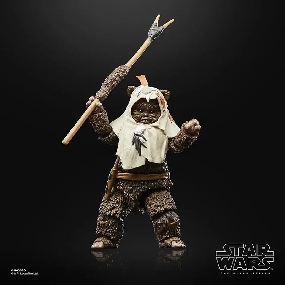Paploo ROTJ 40Th Anni. The Black Series 5