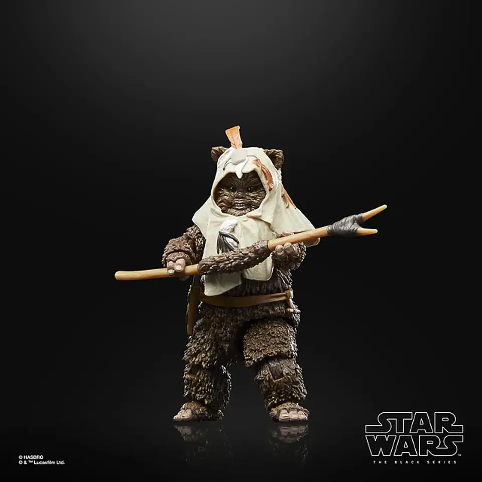 Paploo ROTJ 40Th Anni. The Black Series 6