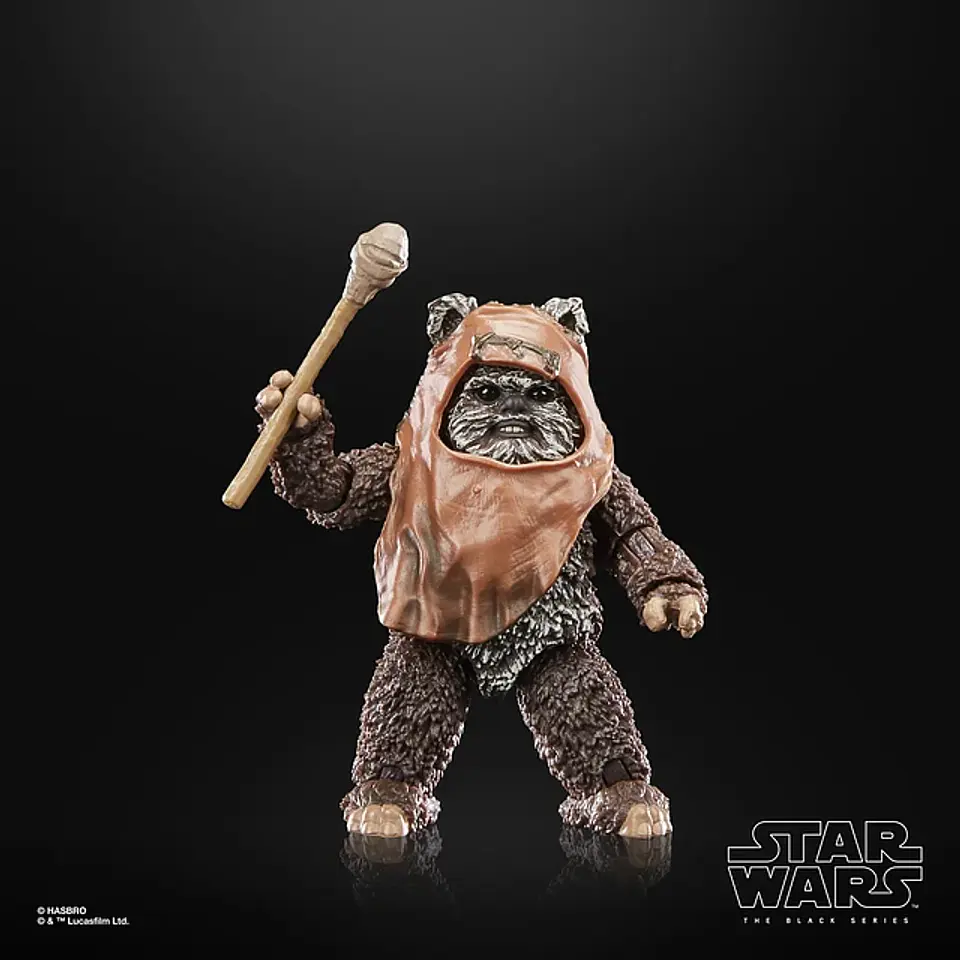 Wicket ROTJ 40Th Anni. The Black Series 5