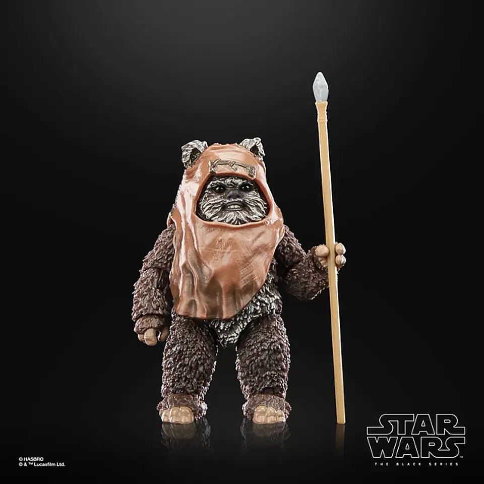 Wicket ROTJ 40Th Anni. The Black Series 8