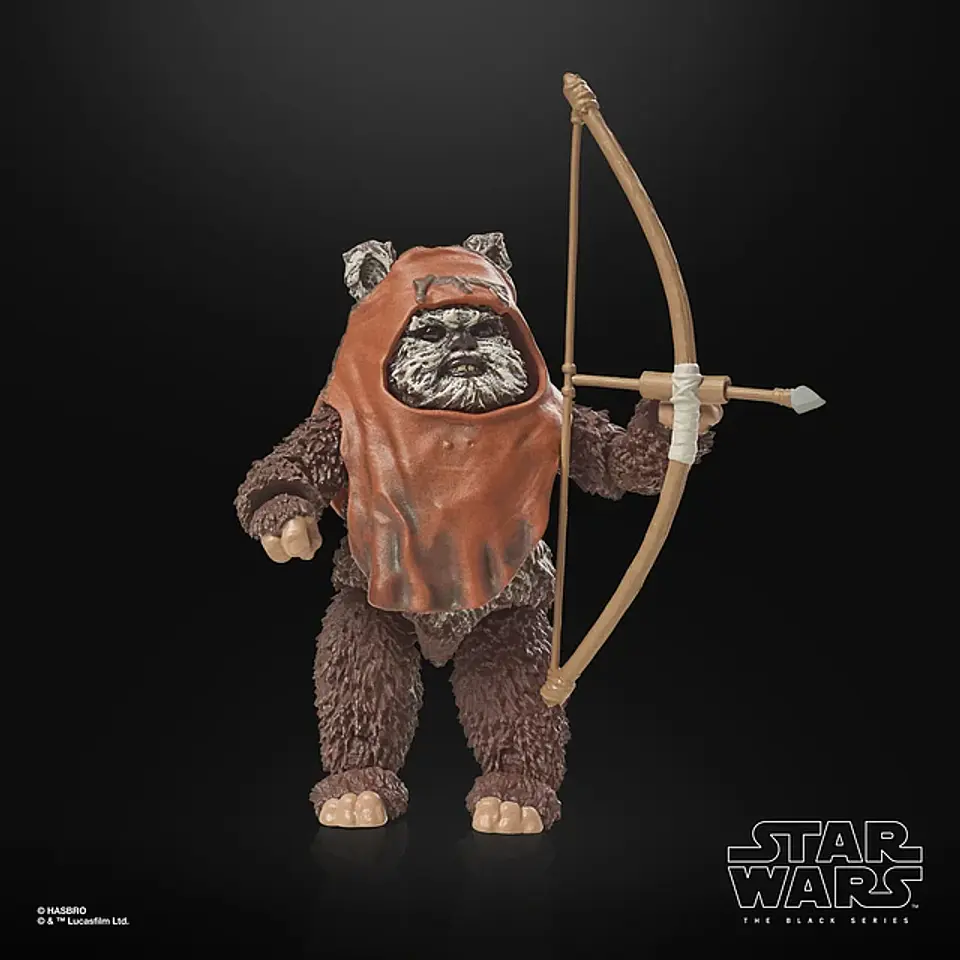 Wicket ROTJ 40Th Anni. The Black Series 9