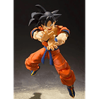 Goku (A Saiyan Raised On Earth) Dragon Ball 2