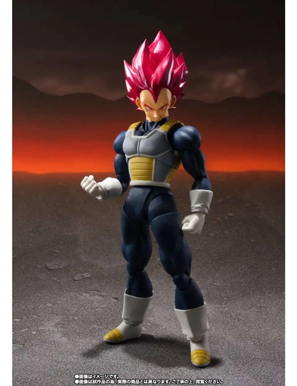 Super Saiyan God Super Saiyan Vegeta (15Th Anniversary Ver) Dragon Ball 5