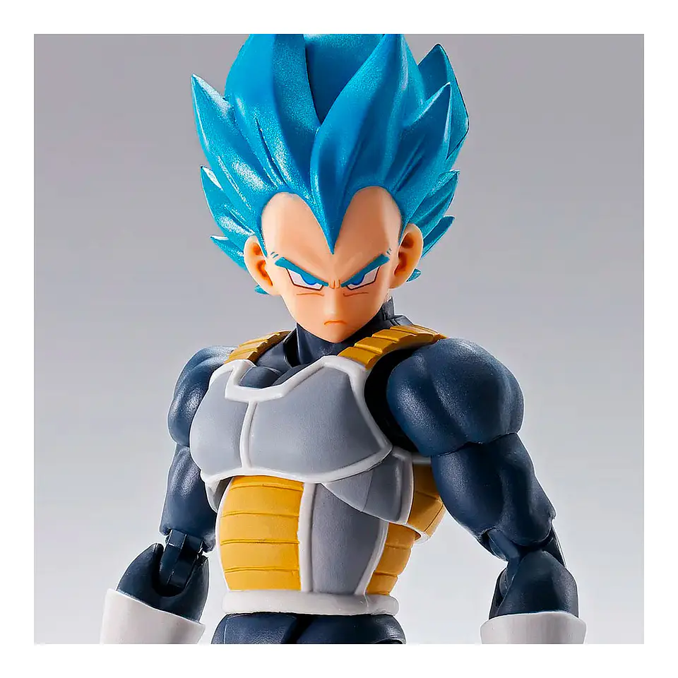 Super Saiyan God Super Saiyan Vegeta (15Th Anniversary Ver) Dragon Ball 2