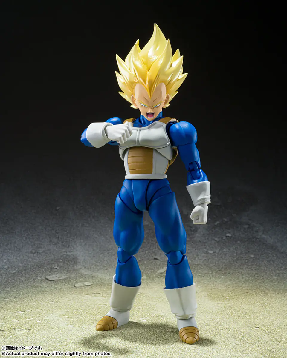 Super Saiyan Vegeta (Awakened Super Saiyan Blood) Dragon Ball 5