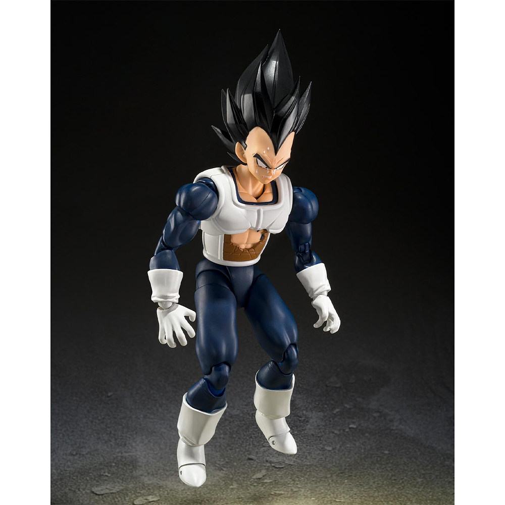 Vegeta (Old Battle Clothes) Dragon Ball 3
