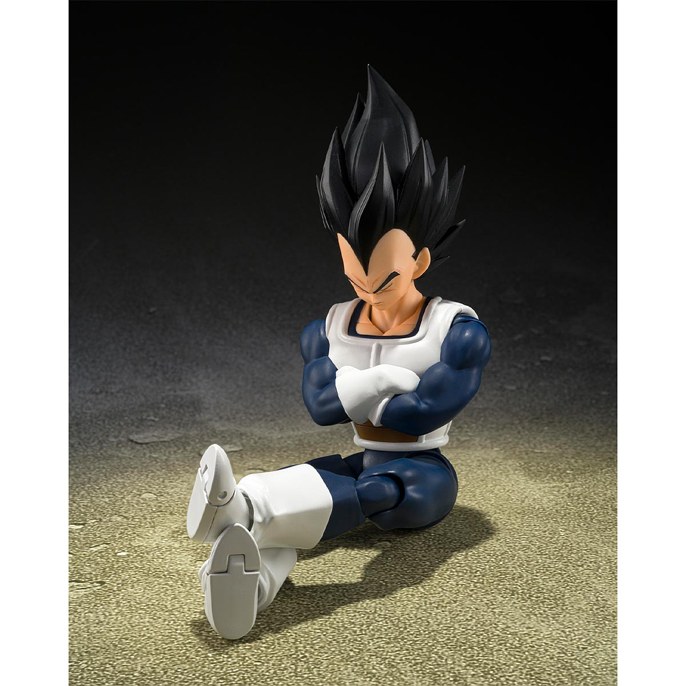 Vegeta (Old Battle Clothes) Dragon Ball 4