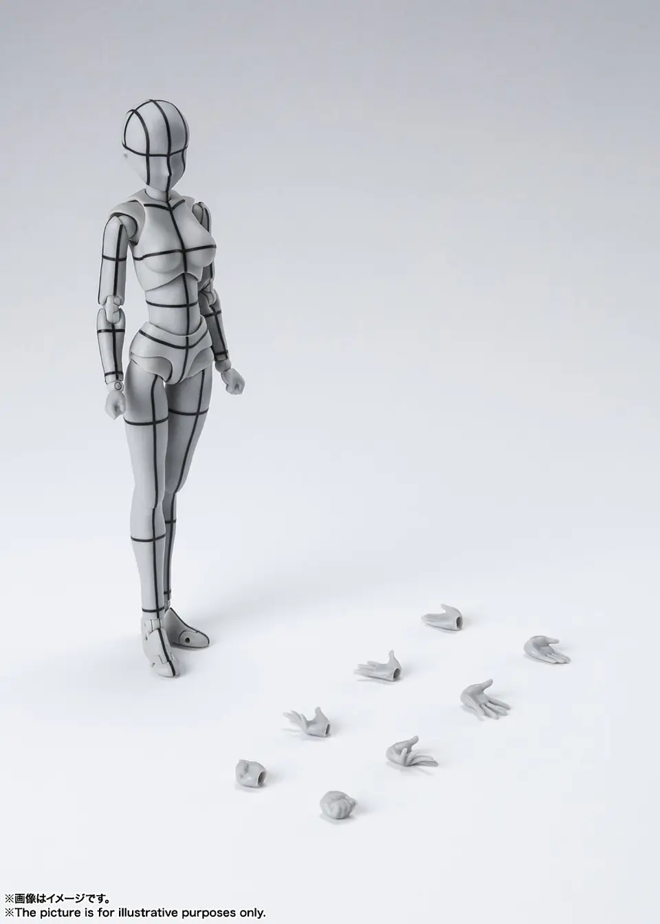 Body Chan -Sports- Edition-Wire Frame- (Gray Color Ver.) 4
