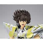 Pegasus Seiya (God Cloth) SAINT CLOTH MYTH EX Saint Seiya 4