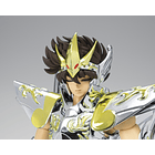 Pegasus Seiya (God Cloth) SAINT CLOTH MYTH EX Saint Seiya 6