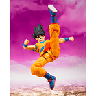 Son Goku (Daima) Dragon Ball 5