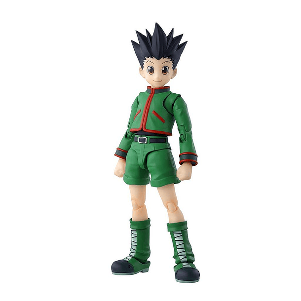 Gon Hunter x Hunter