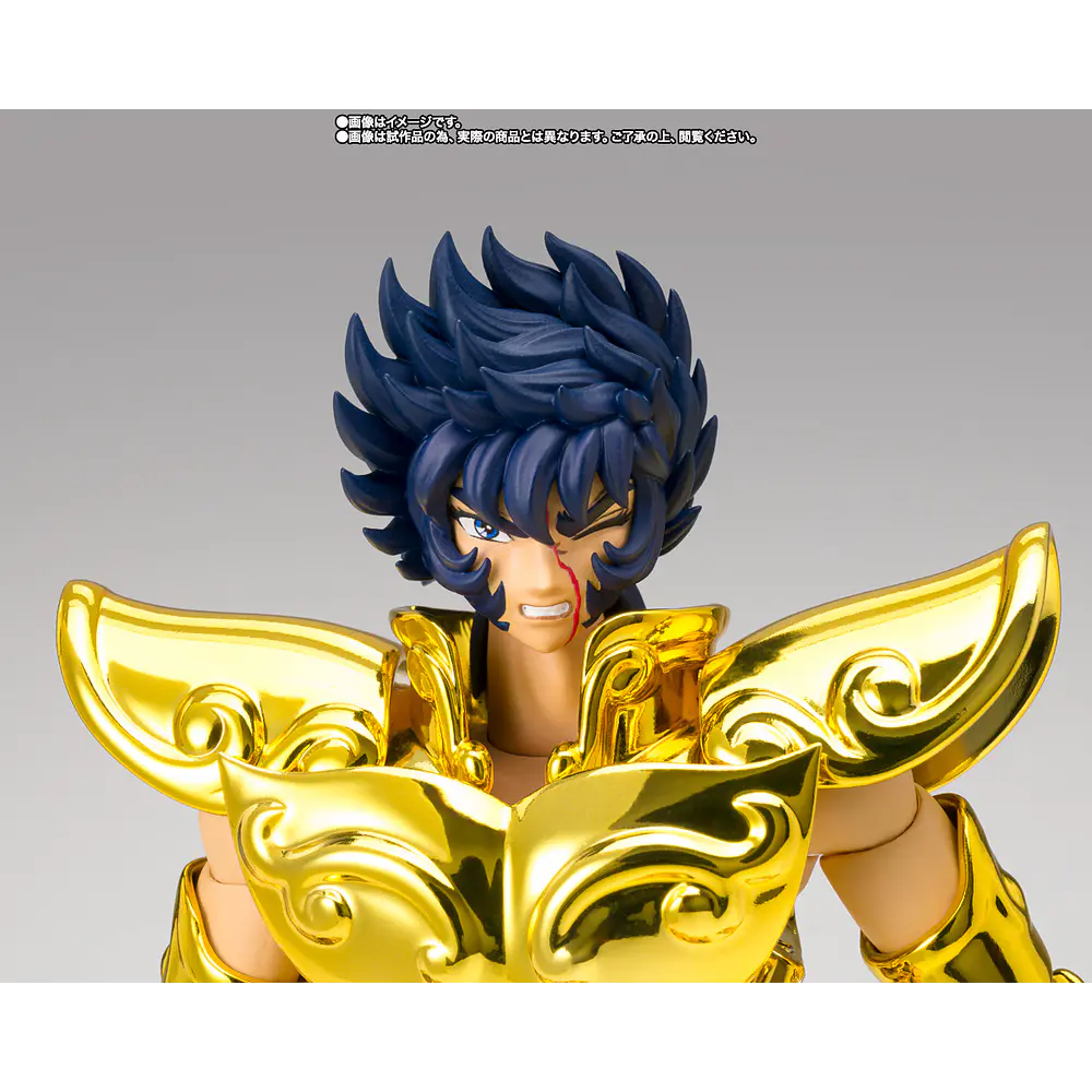 Leo Ikki (Inheritor Of The Gold Cloth) Saint Seiya 5