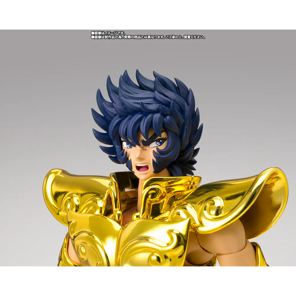 Leo Ikki (Inheritor Of The Gold Cloth) Saint Seiya 6