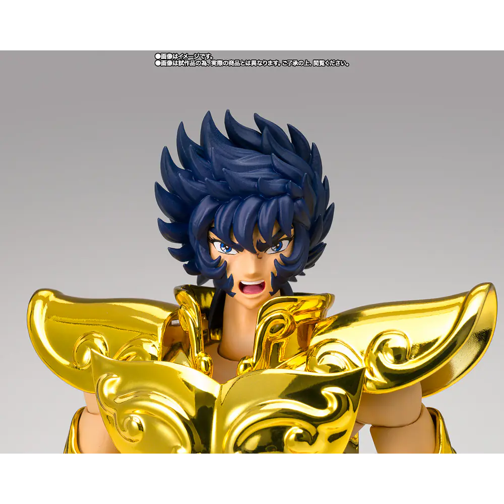 Leo Ikki (Inheritor Of The Gold Cloth) Saint Seiya 8