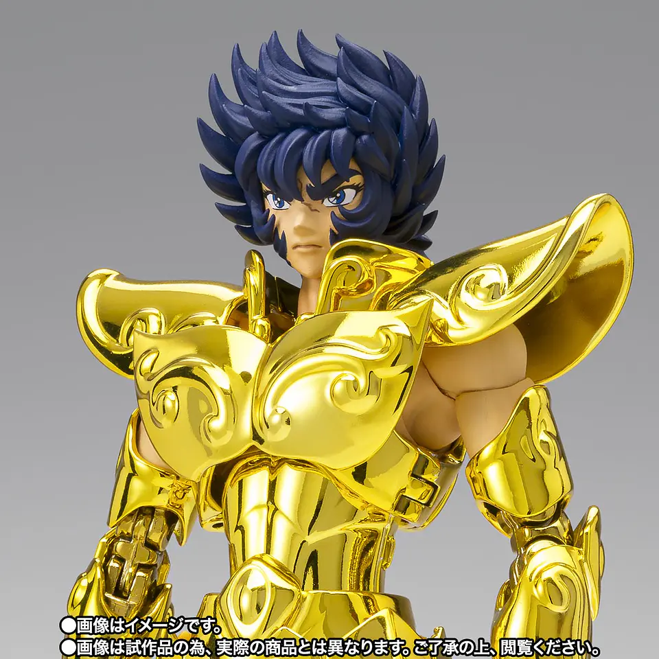 Leo Ikki (Inheritor Of The Gold Cloth) Saint Seiya 9