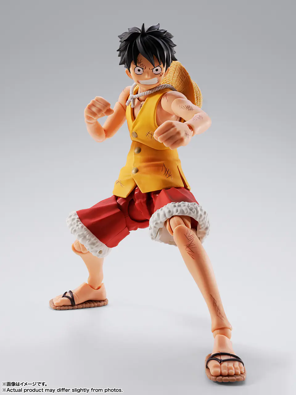 Monkey D. Luffy (Marineford) One Piece 5