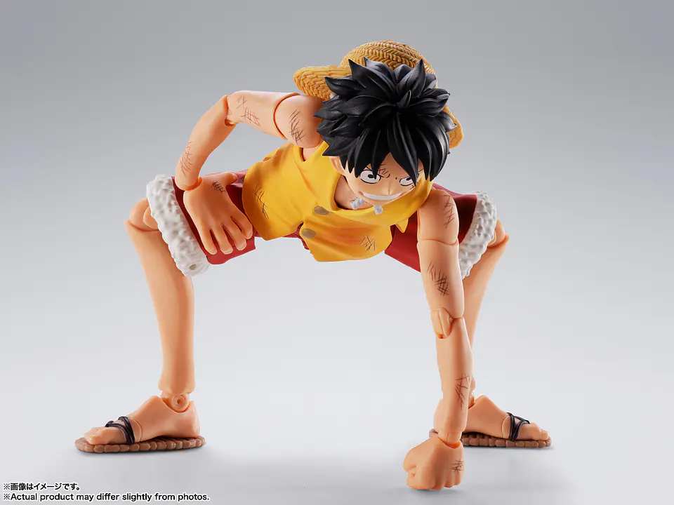 Monkey D. Luffy (Marineford) One Piece 10