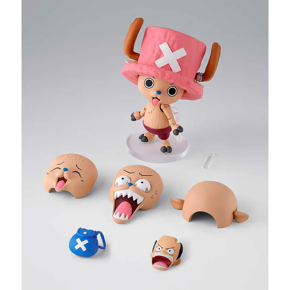 Tonytony Chopper (Drum Island) 5