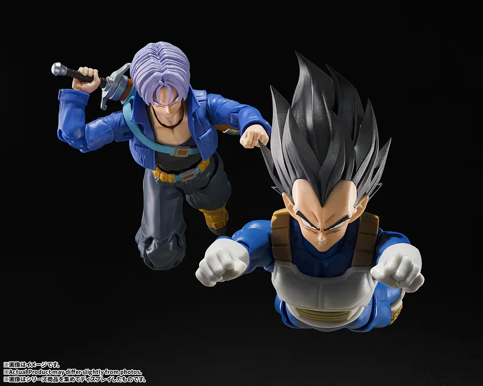 [PREVENTA] Vegeta <Z-Fighters> Dragon Ball 6