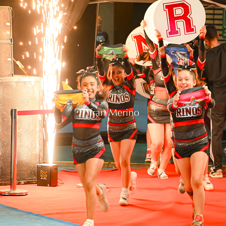 Rinos Campeonato ONE LEAGUE 1