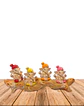 Set Figura Ganesh  Poliresina Pedestal   4