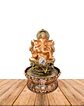 Pileta de Agua Ganesh 6
