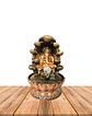 Pileta de Agua Ganesh 15