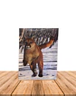 Foto Poster 3D Lenticular JI14-184B - Miniatura 4