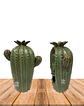 Cascada de Humo Cactus Bebe #1017 - Miniatura 7