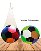 Pelota Inflable Mediana JI12-202 - Miniatura 1