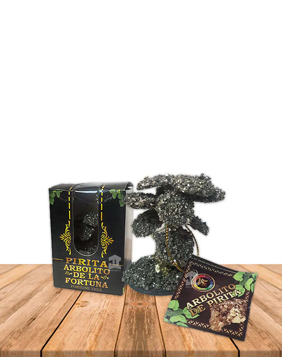 Árbol Bonsai De la Fortuna Grande Pirita 1